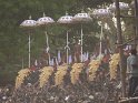 thrissur-pooram-2010 (39)